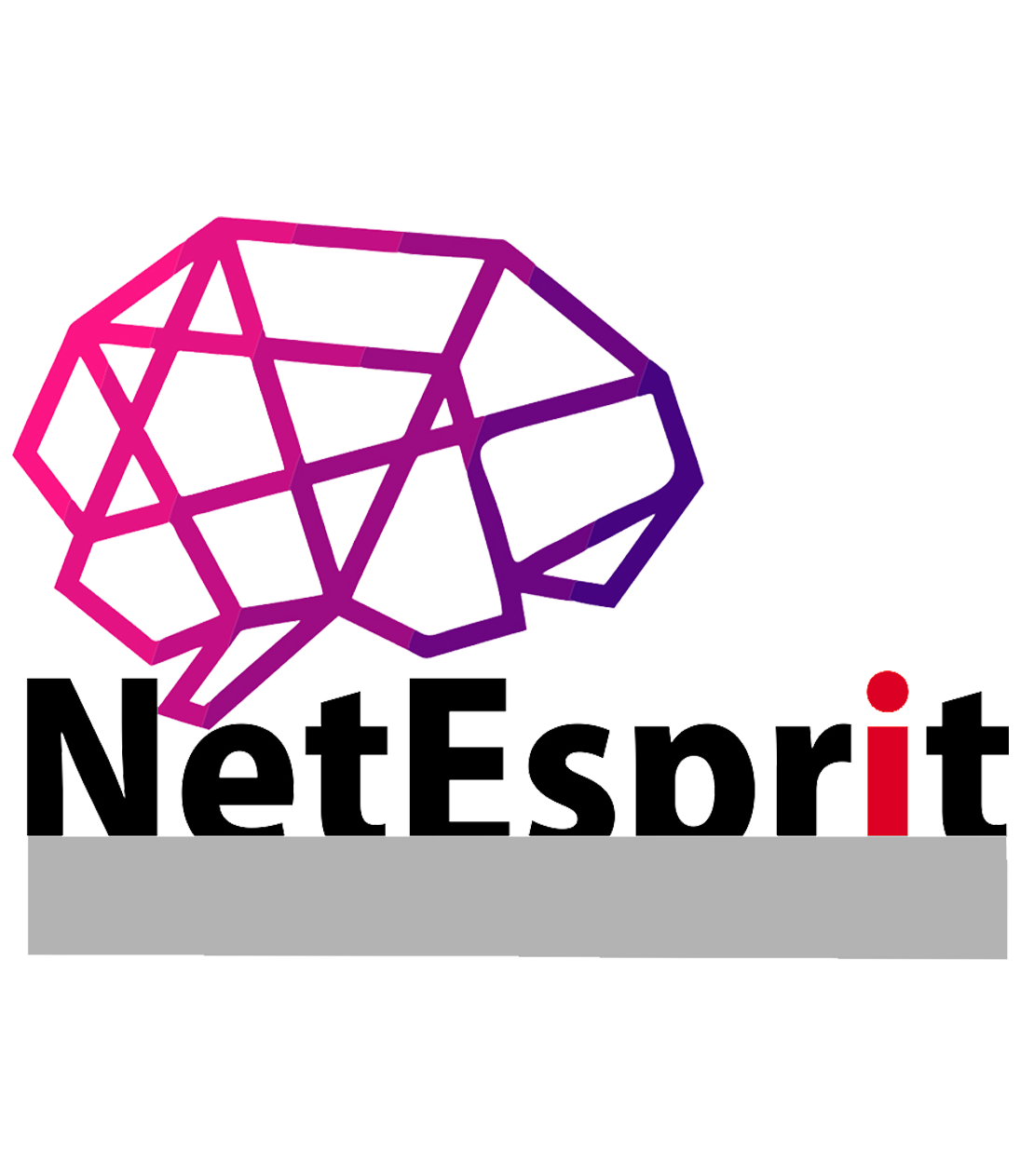 NetEsprit Logo